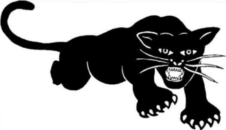 Black Panther Party Founded
