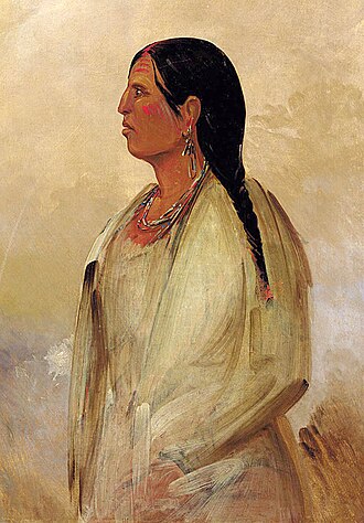 Cherokee Removal via Trail of Tears